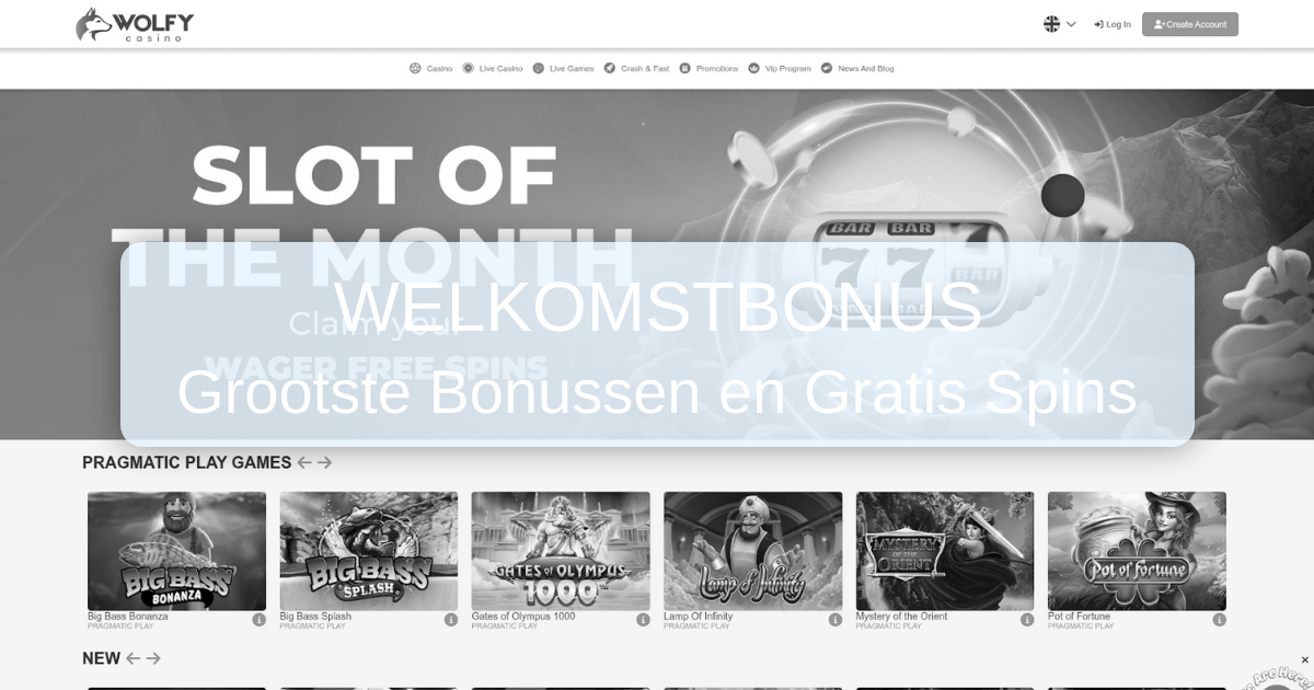 Wolfy Casino België